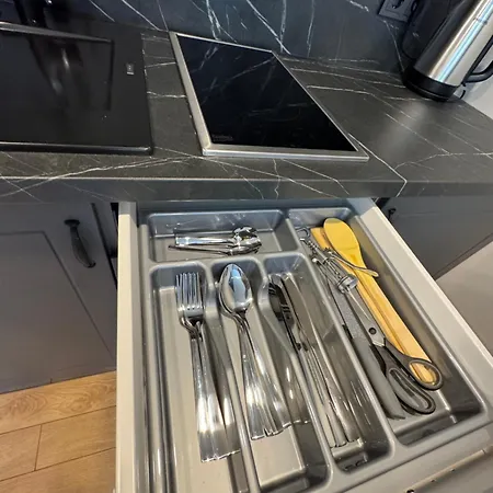 Trumpalaike Butu Nuoma Kaune Prie Kliniku Self Check-in * Kaunas