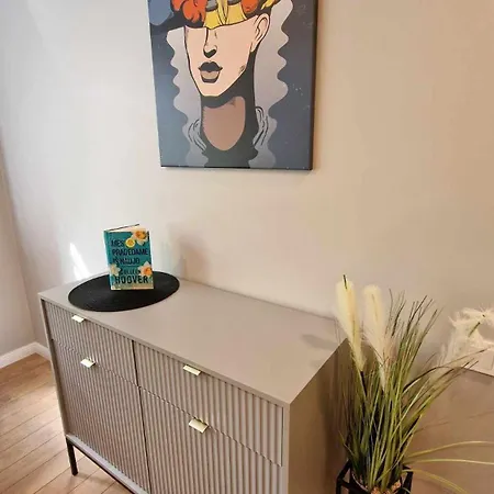 Trumpalaike Butu Nuoma Kaune Prie Kliniku Self Check-in Appartement