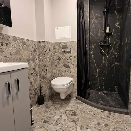 Trumpalaike Butu Nuoma Kaune Prie Kliniku Self Check-in * 考纳斯