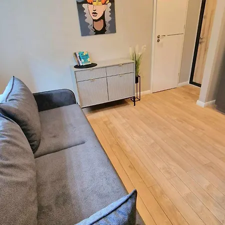 Апартаменты Trumpalaike Butu Nuoma Kaune Prie Kliniku Self Check-in