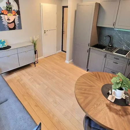 Trumpalaike Butu Nuoma Kaune Prie Kliniku Self Check-in *