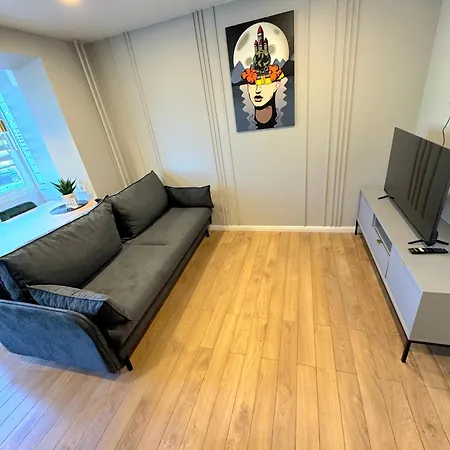 Trumpalaike Butu Nuoma Kaune Prie Kliniku Self Check-in Apartment