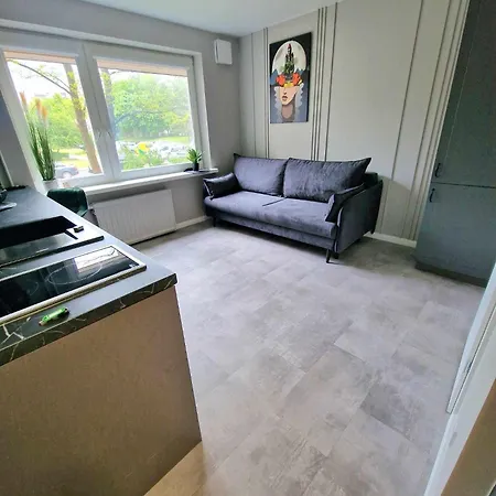 Trumpalaike Butu Nuoma Kaune Prie Kliniku Self Check-in