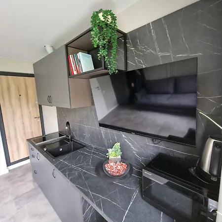 Trumpalaike Butu Nuoma Kaune Prie Kliniku Self Check-in * Kaunas