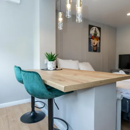 Trumpalaike Butu Nuoma Kaune Prie Kliniku Self Check-in