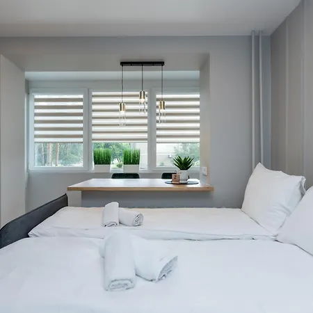 Trumpalaike Butu Nuoma Kaune Prie Kliniku Self Check-in 考纳斯