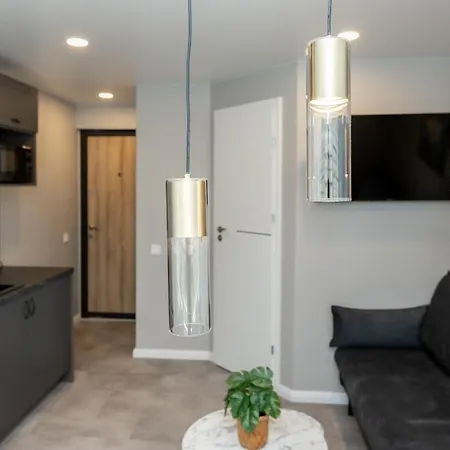 Trumpalaike Butu Nuoma Kaune Prie Kliniku Self Check-in 考纳斯