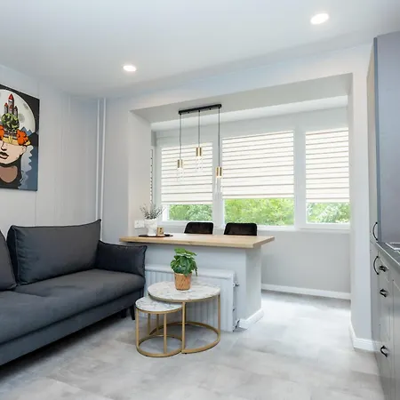 公寓 Trumpalaike Butu Nuoma Kaune Prie Kliniku Self Check-in 考纳斯