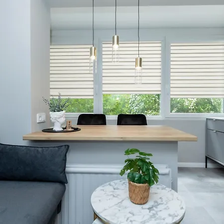 Trumpalaike Butu Nuoma Kaune Prie Kliniku Self Check-in * קובנה