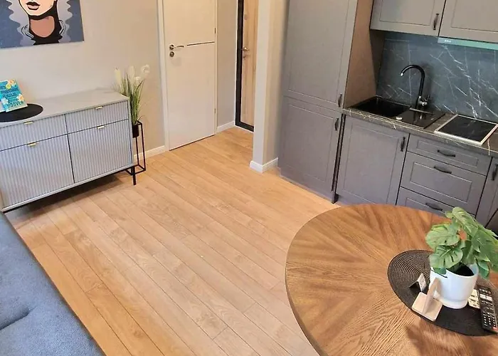 Trumpalaike Butu Nuoma Kaune Prie Kliniku Self Check-in *