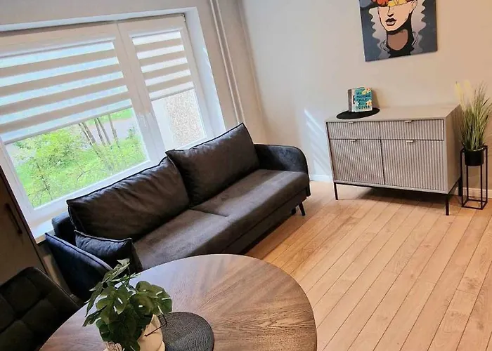 Trumpalaike Butu Nuoma Kaune Prie Kliniku Self Check-in * 카우나스