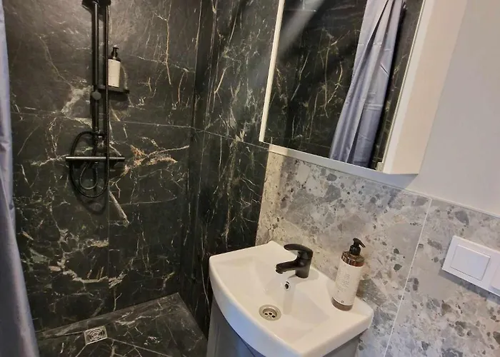 Trumpalaike Butu Nuoma Kaune Prie Kliniku Self Check-in