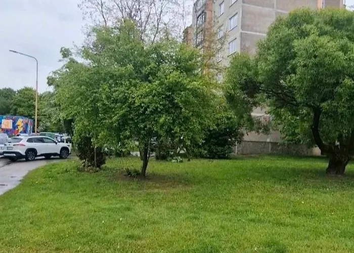 Trumpalaike Butu Nuoma Kaune Prie Kliniku Self Check-in 카우나스