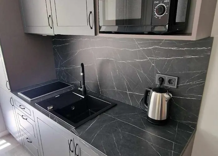 Trumpalaike Butu Nuoma Kaune Prie Kliniku Self Check-in 아파트 *