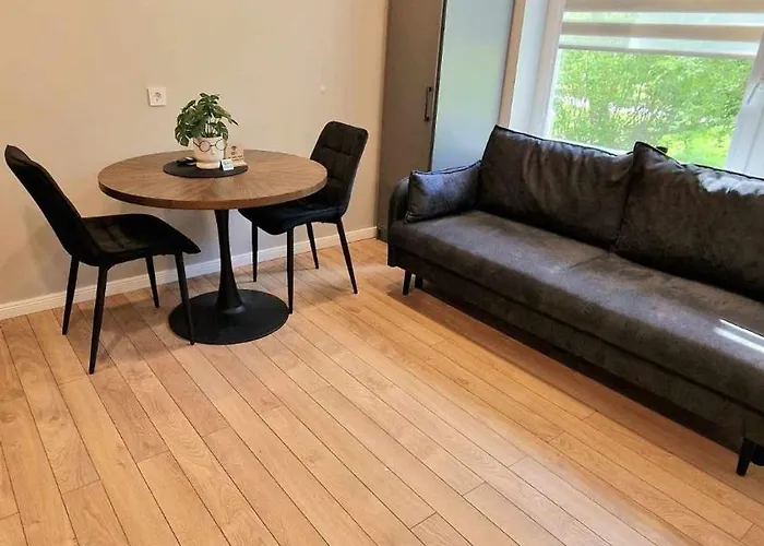 Trumpalaike Butu Nuoma Kaune Prie Kliniku Self Check-in