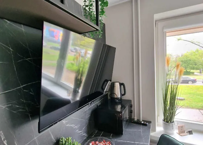 Trumpalaike Butu Nuoma Kaune Prie Kliniku Self Check-in 아파트 카우나스