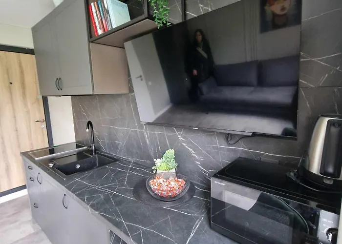 아파트 Trumpalaike Butu Nuoma Kaune Prie Kliniku Self Check-in 카우나스