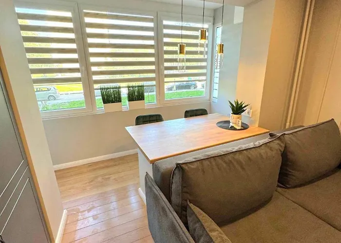 Trumpalaike Butu Nuoma Kaune Prie Kliniku Self Check-in *