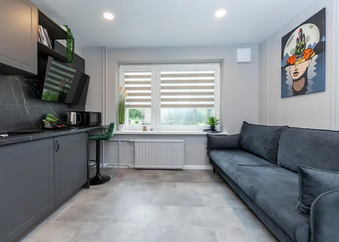 Trumpalaike Butu Nuoma Kaune Prie Kliniku Self Check-in