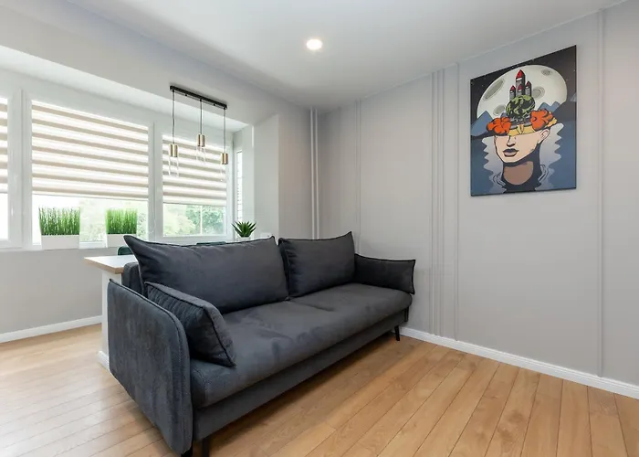 Trumpalaike Butu Nuoma Kaune Prie Kliniku Self Check-in * 카우나스