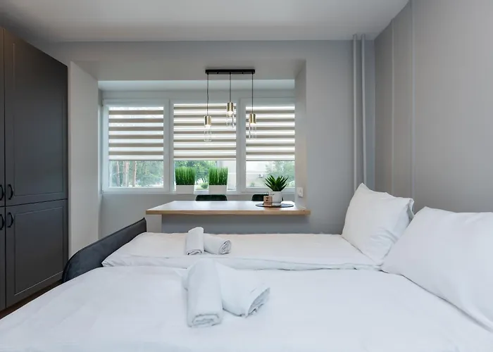 Trumpalaike Butu Nuoma Kaune Prie Kliniku Self Check-in 카우나스