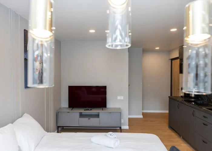 Trumpalaike Butu Nuoma Kaune Prie Kliniku Self Check-in * 카우나스