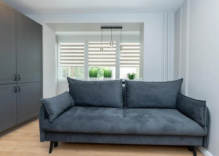 Trumpalaike Butu Nuoma Kaune Prie Kliniku Self Check-in