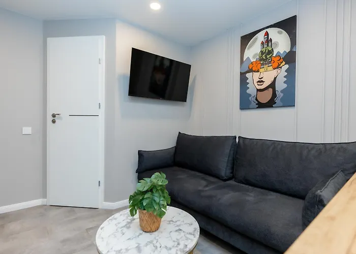 Trumpalaike Butu Nuoma Kaune Prie Kliniku Self Check-in 카우나스