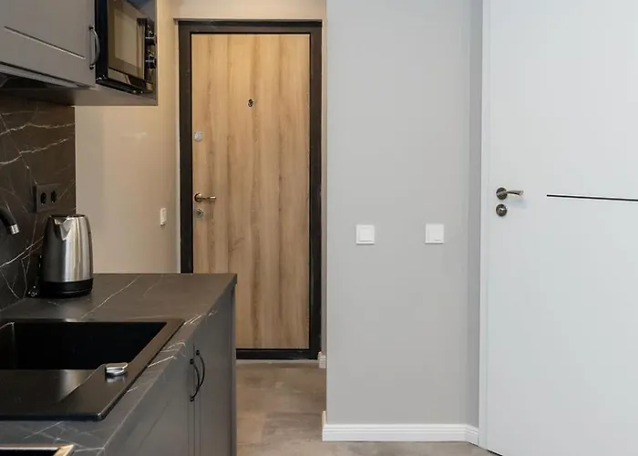 Trumpalaike Butu Nuoma Kaune Prie Kliniku Self Check-in *